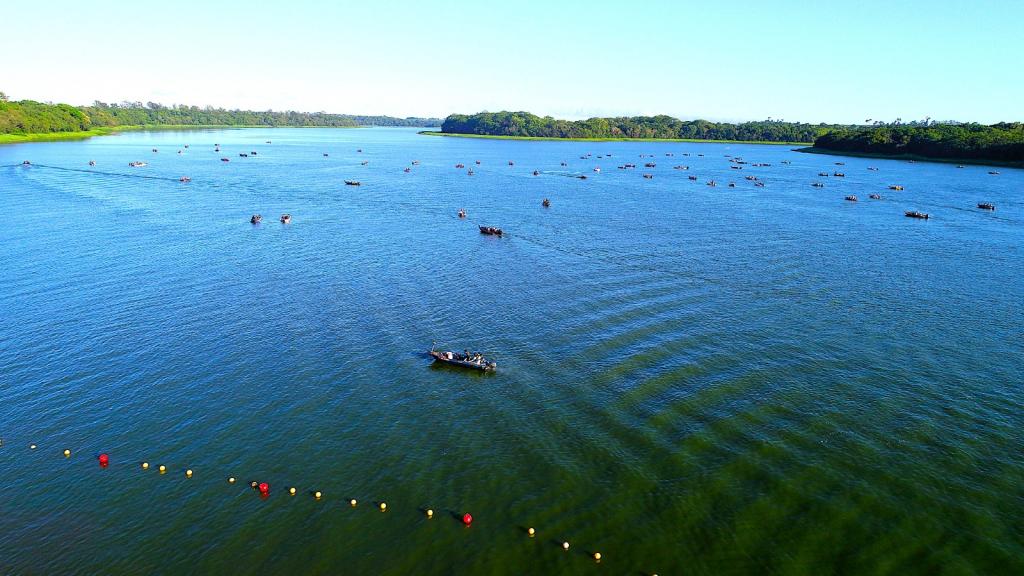 Turismo Náutico Lago de Itaipu: Participe das Oficinas!