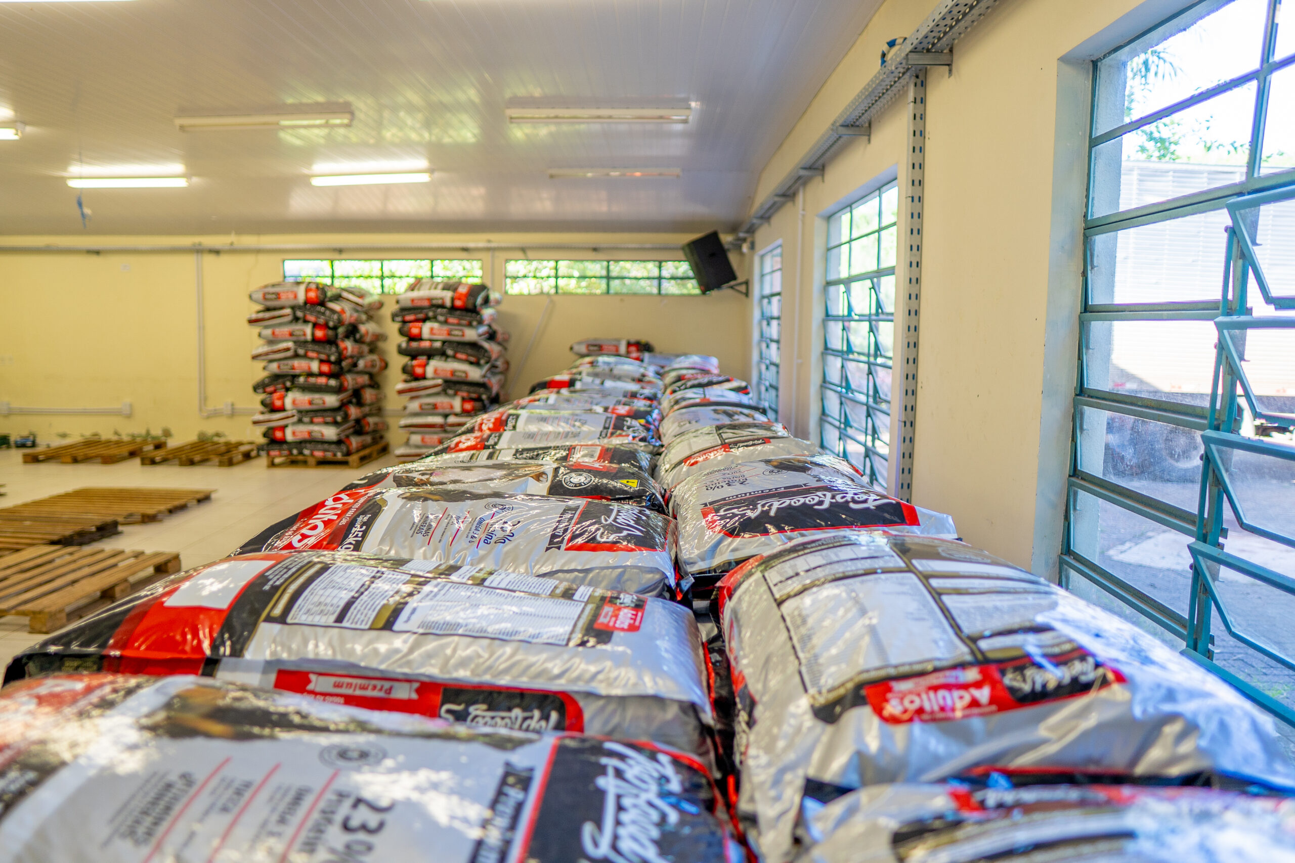Doação de ração Foz do Iguaçu garante alimento a 3 mil pets