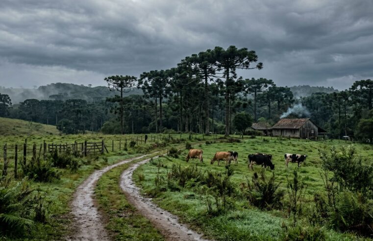 Previsão do Tempo Sul: Alerta de Chuva no Domingo (5)