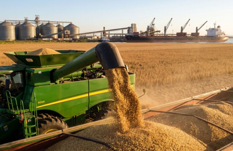 Preço da saca de soja sobe no PR hoje: veja as cotações Cepea