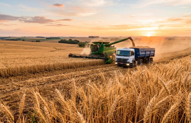 Preço do trigo sobe forte no Brasil Entenda a alta na entressafra