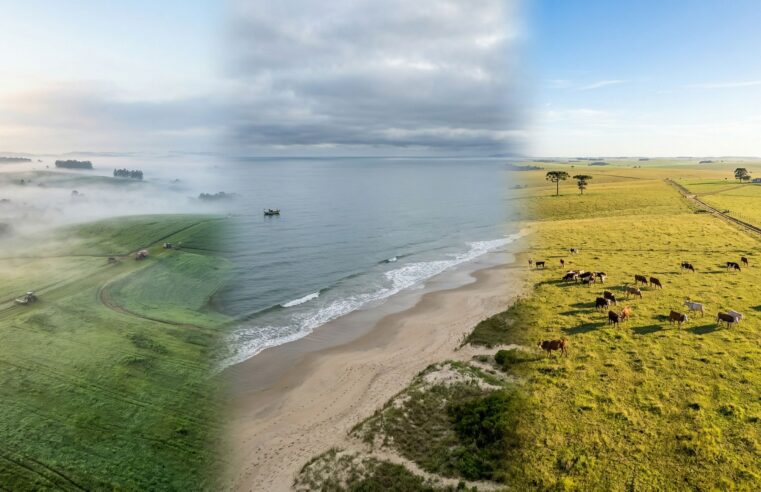 Previsão do Tempo Sul Sábado: Inmet Alerta Mudanças