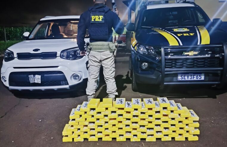 Apreensão de cocaína BR-277: PRF acha 100kg em fundo falso