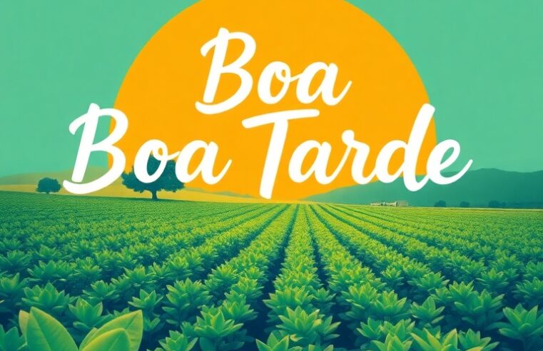 Impulsione Sua Tarde: Roteiro de Energia, Foco e Sucesso