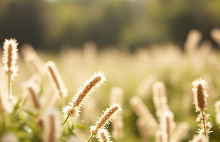 Adubação de Suculentas: Guia Essencial para o Florescer