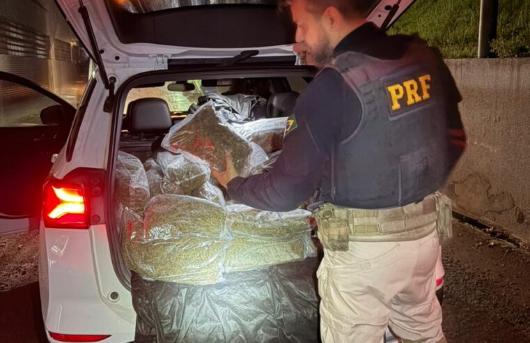 Apreensão de skunk: PRF frustra plano na BR-277 em STI