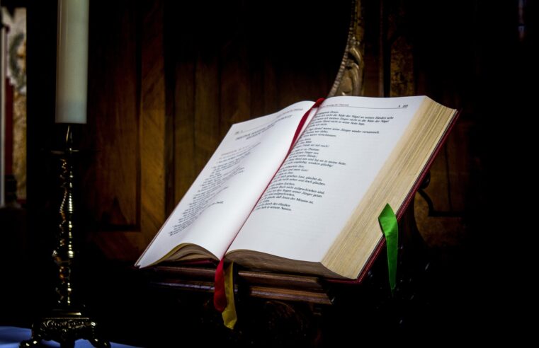 Evangelho do Dia – 2 de maio de 2026 | Jo 14,7-14