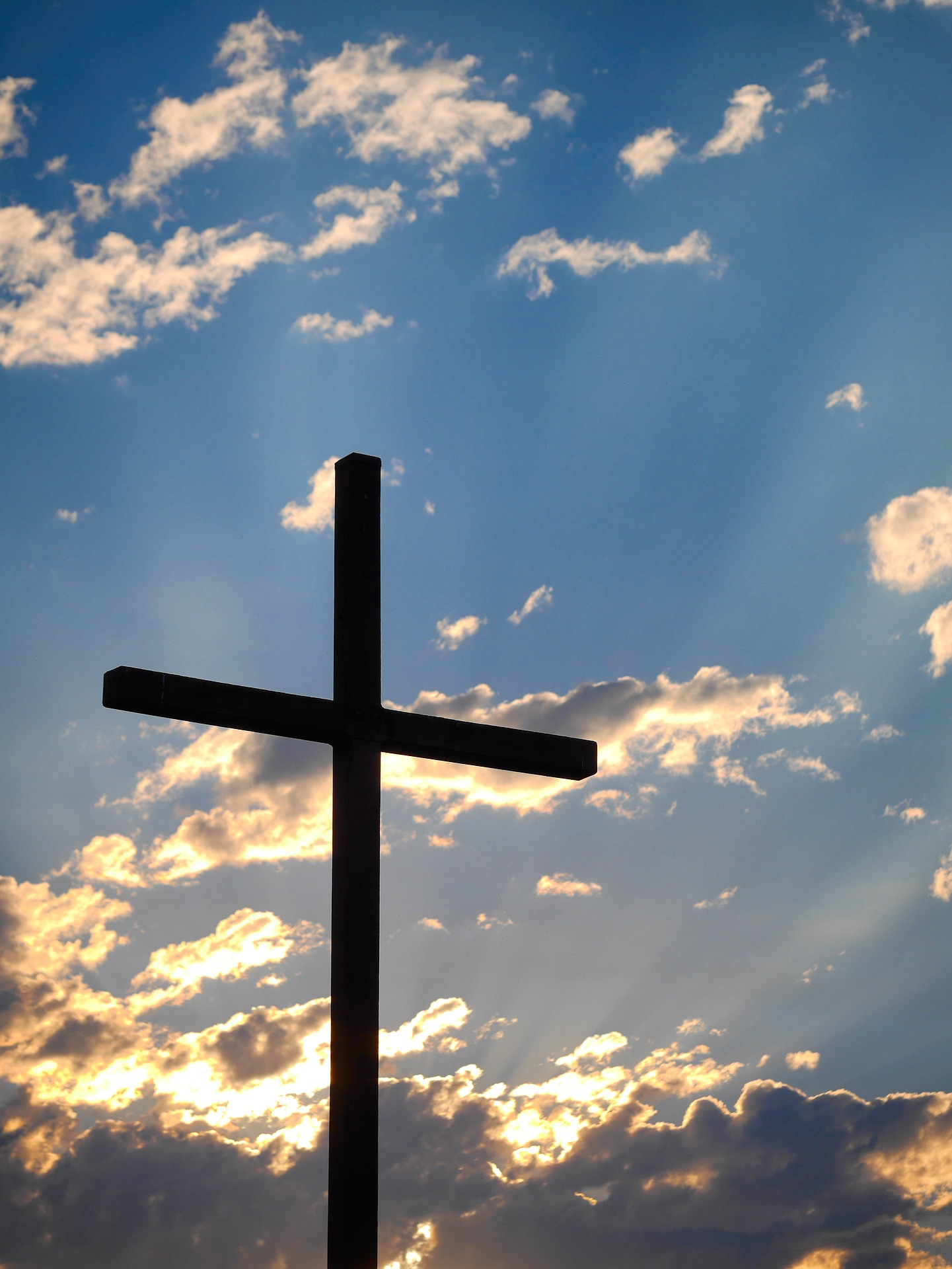 Evangelho do Dia 29/05/2026 – Reflexão e Oração de Hoje
