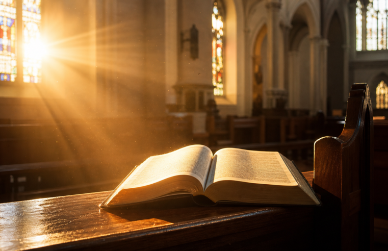 Evangelho do Dia 25/06/2026 – Reflexão e Oração de Hoje