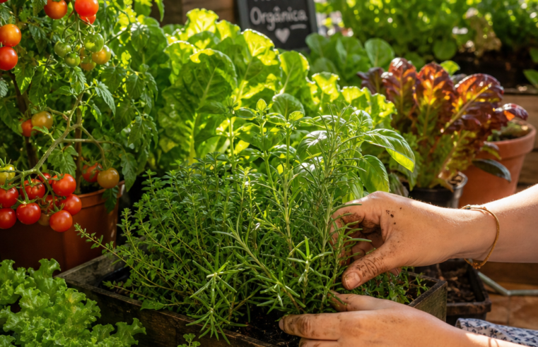 Hortas em Casa: Seu Guia Completo para Plantar e Colher! 🌱