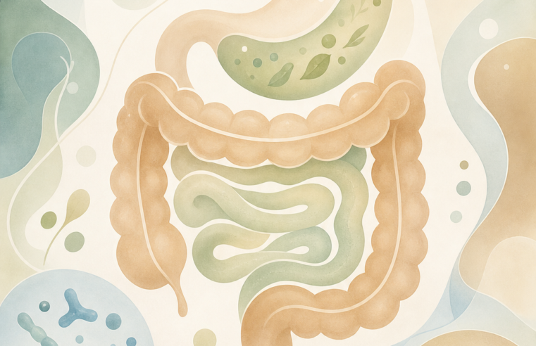 Saúde Intestinal: Guia Completo para o Bem-Estar
