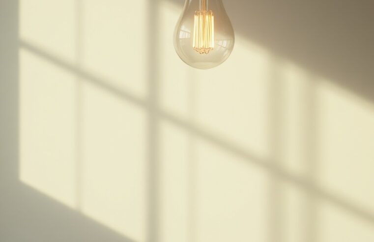 Suculentas: Guia Essencial de Iluminação Ideal