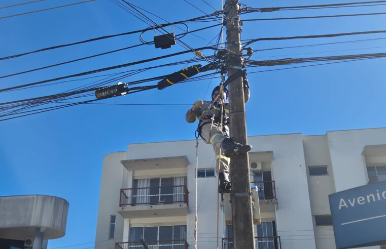 Copel retira quase 1.000 postes irregulares no PR