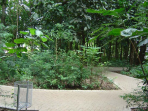 Screenshot 2026 06 23 at 20 04 28 file.jpg imagem JPEG 640 × 479 pixels