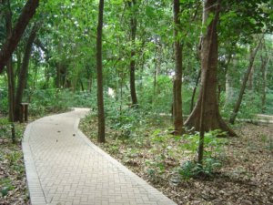Screenshot 2026 06 23 at 20 04 48 file.jpg imagem JPEG 640 × 479 pixels