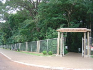 Screenshot 2026 06 23 at 20 05 58 file.jpg imagem JPEG 640 × 479 pixels