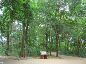 Screenshot 2026 06 23 at 20 06 24 file.jpg imagem JPEG 640 × 479 pixels