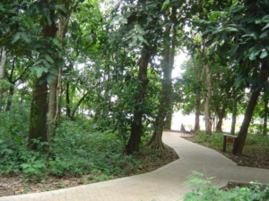 Screenshot 2026 06 23 at 20 06 30 file.jpg imagem JPEG 640 × 479 pixels