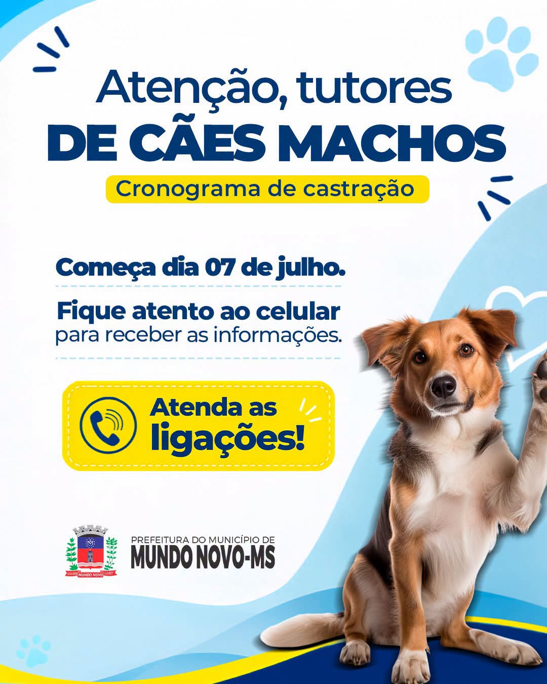 Cronograma de castração de cães em Mundo Novo começa terça-feira