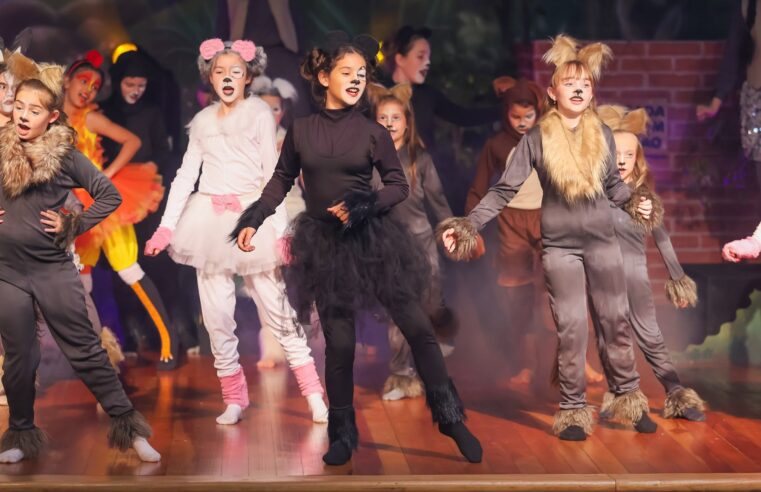 Oficina de Teatro de Mercedes encanta com Saltimbancos