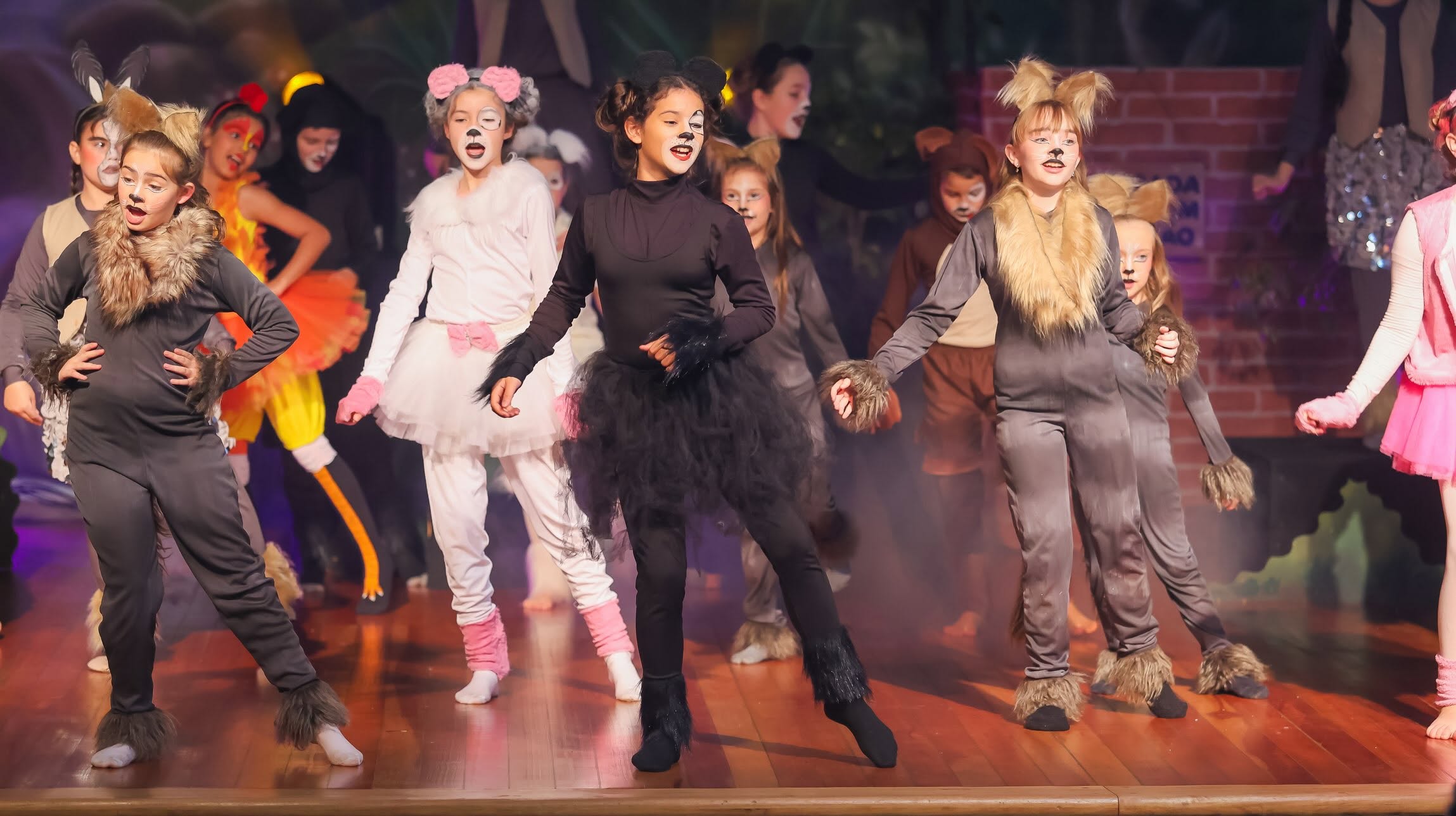 Oficina de Teatro de Mercedes encanta com Saltimbancos