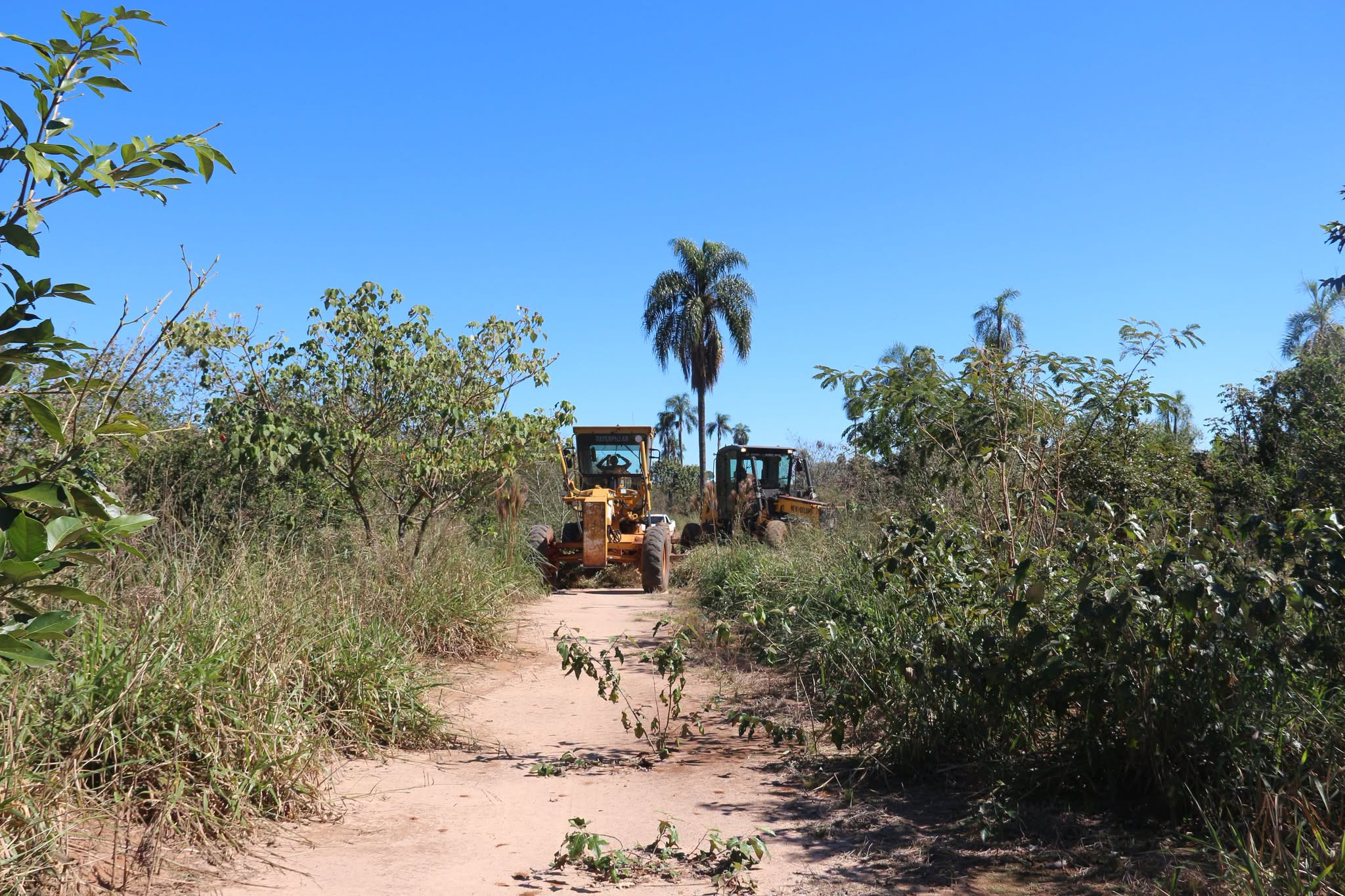 Estradas Rurais de Mundo Novo: Obras Seguem Cronograma