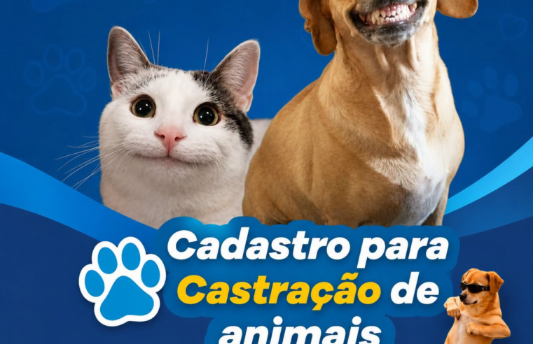 Como fazer cadastro para castração de cães e gatos em Santa Helena