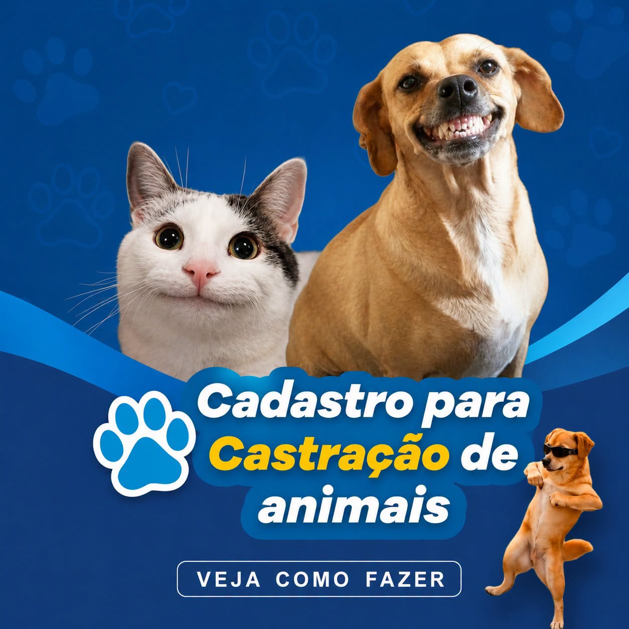 Como fazer cadastro para castração de cães e gatos em Santa Helena