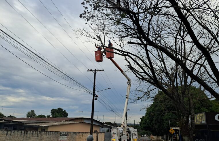 Copel e Foz do Iguaçu fazem força-tarefa de poda para proteger rede elétrica