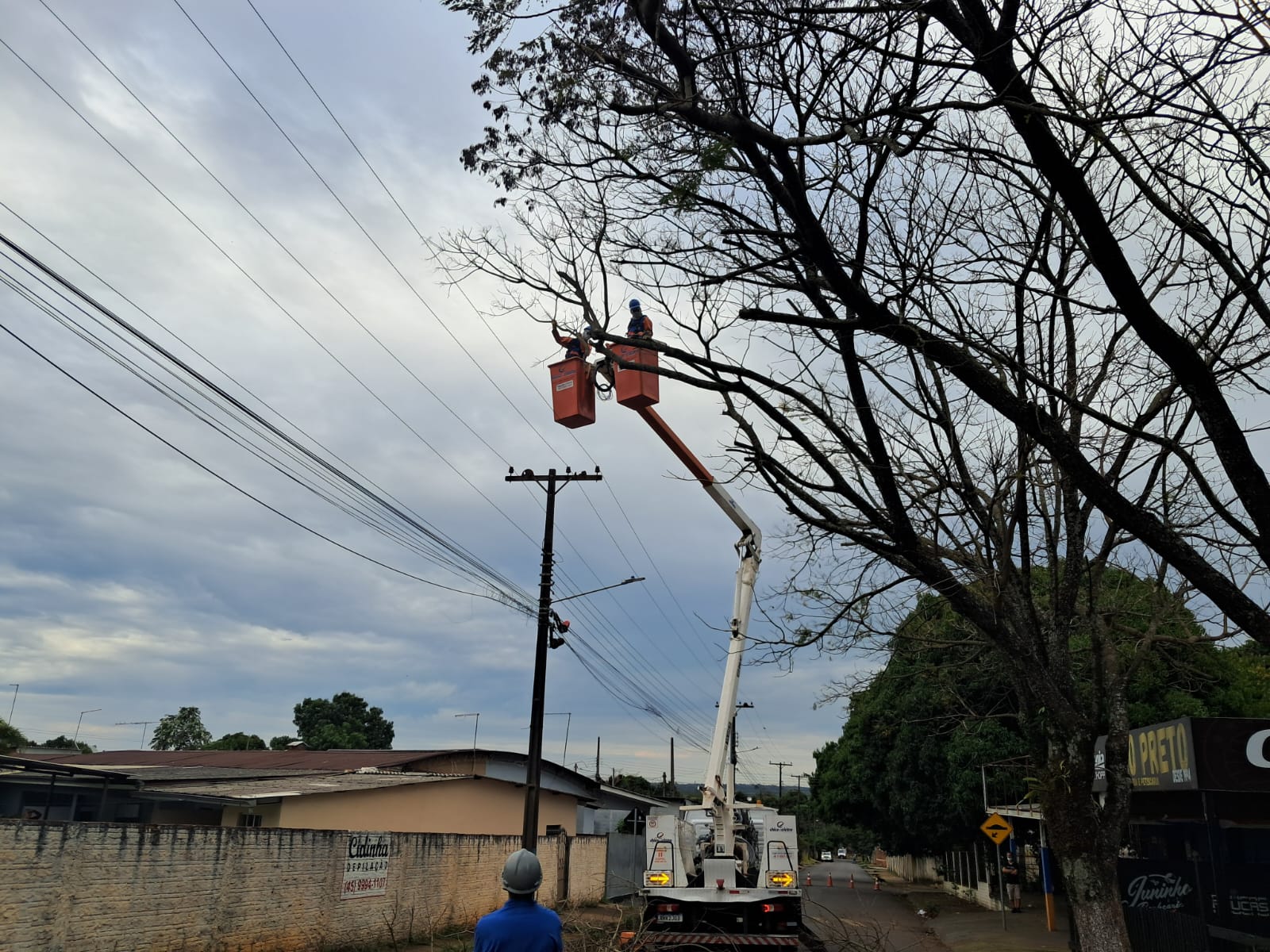 Copel e Foz do Iguaçu fazem força-tarefa de poda para proteger rede elétrica