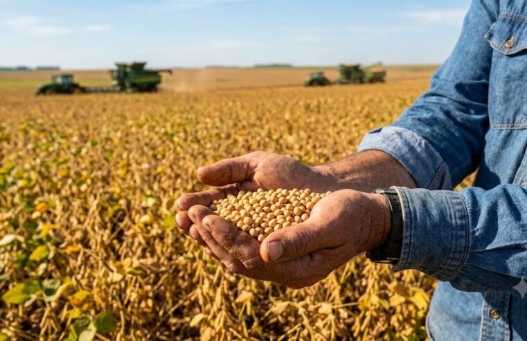 Preço da Soja e Trigo: Cotações Atualizadas em 13/07/2026