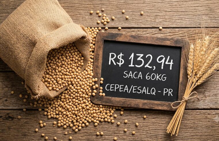Preço da soja cai no Paraná e chega a R$ 132,94 nesta quarta