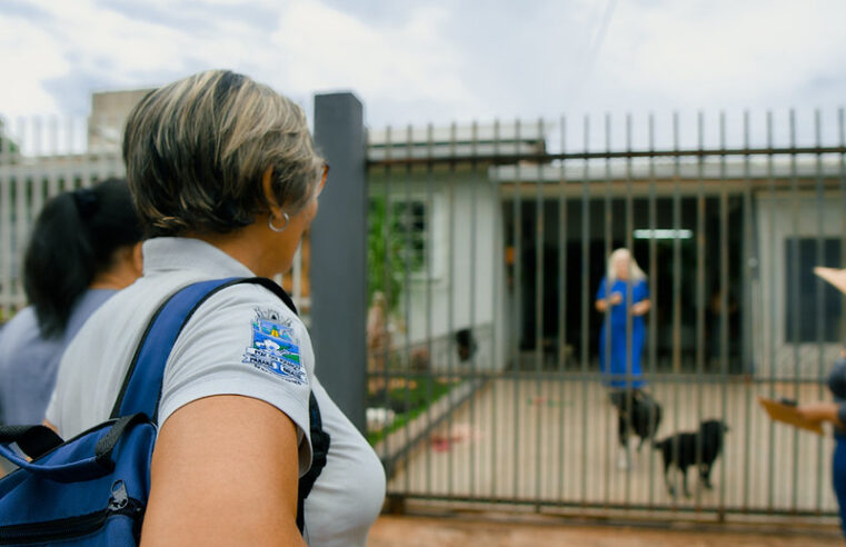 Dengue em Foz do Iguaçu tem alerta e novos mosquitos