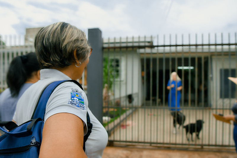 Dengue em Foz do Iguaçu tem alerta e novos mosquitos